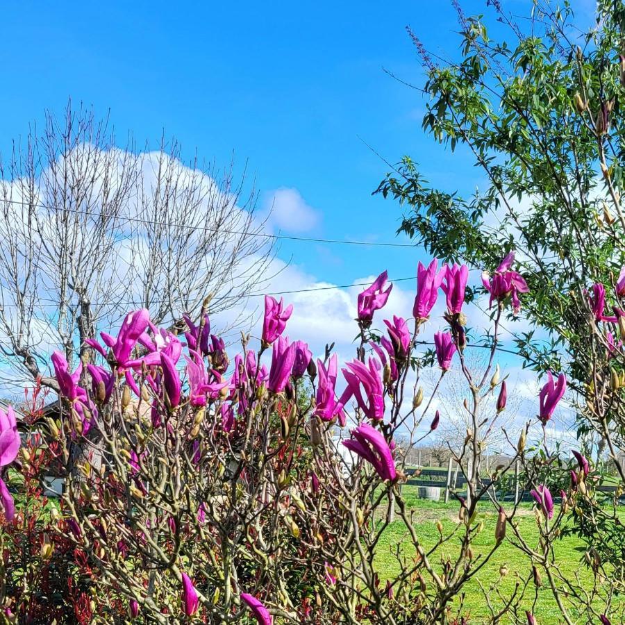 Domaine Toutet Birac  ภายนอก รูปภาพ